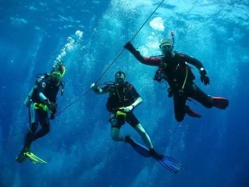 玩具小伙伴的探险之旅,《蛋仔派对》全新赛季即将开启